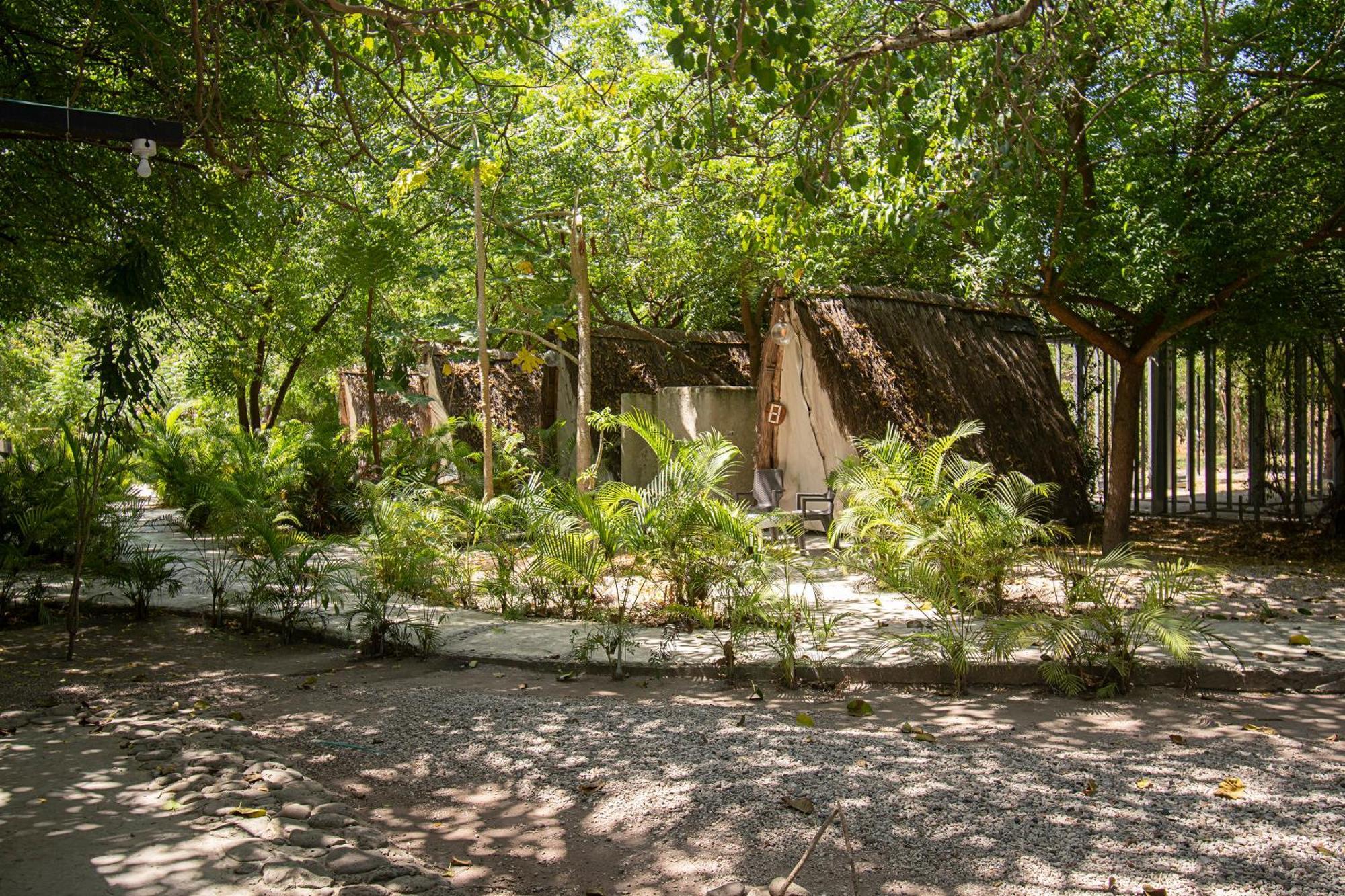 Amalife Beach Club & Hotel Tierra Bomba Buitenkant foto